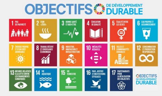 les 17 objectifs du développement durable.